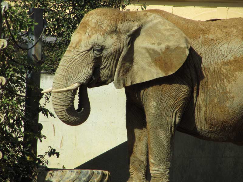 Zoo Augsburg